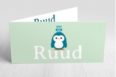Pinguin met uiltje groen
